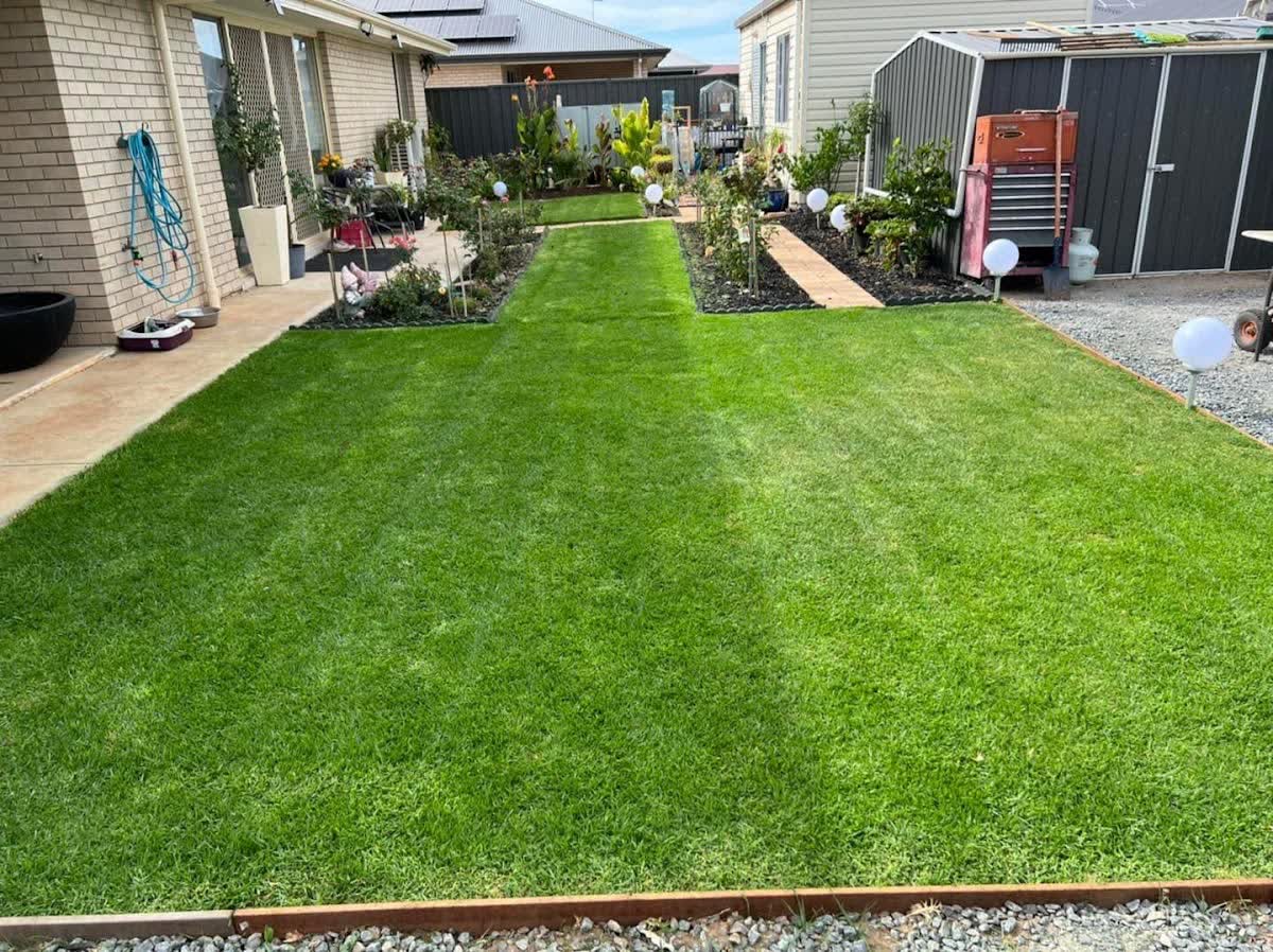 Mown-stripe lawn path cutting between two freshly planted garden beds toward the house
