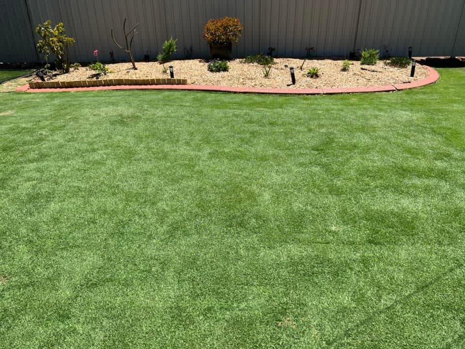 New turf edged with brick along a curved mulch garden bed by the fence line