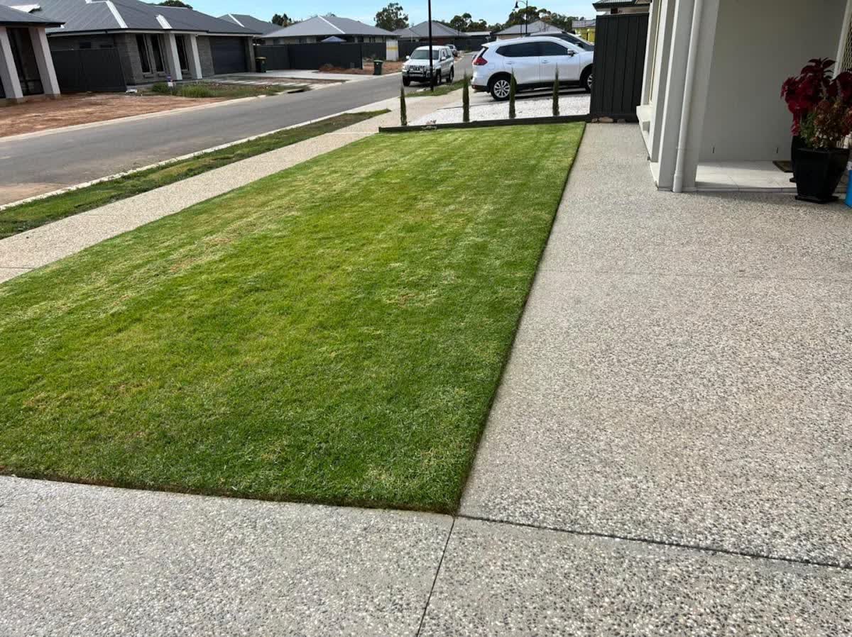 Crisp front yard turf beside a clean exposed-aggregate path